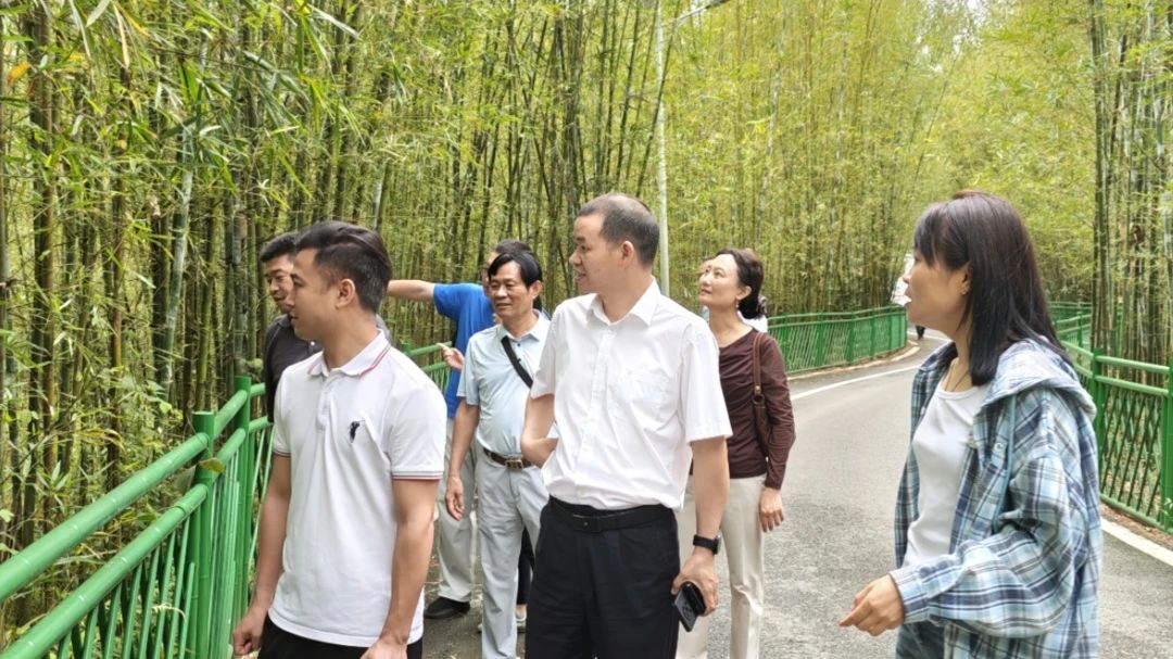 微信图片_20250506140747_2.jpg