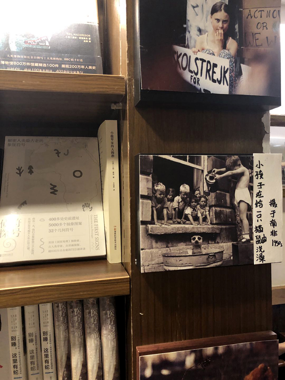 1200的书架.jpg