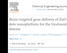  Professor Guan Yanqing of the College of life sciences published the important achievements of gene delivery nano platform in the research of Parkinson's disease in the Chemical Engineering Journal