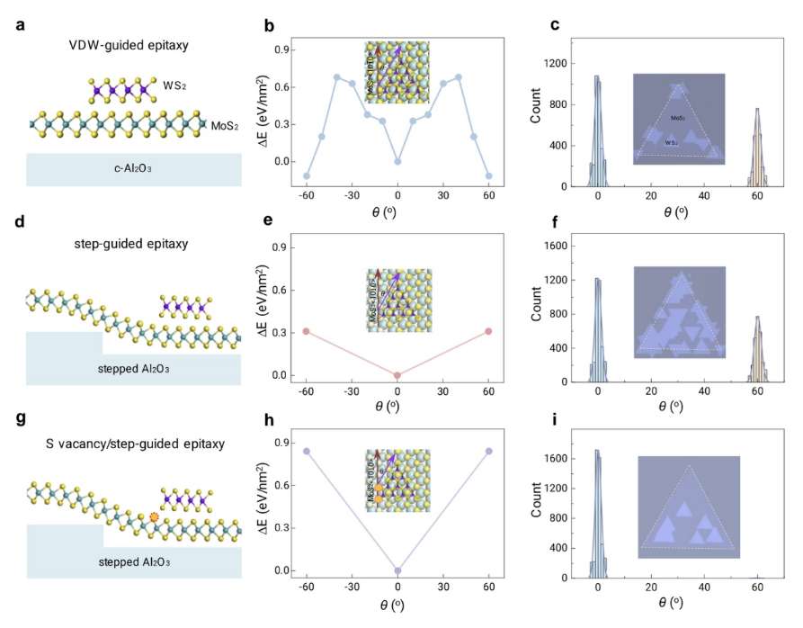 1770030593326782.png image.png