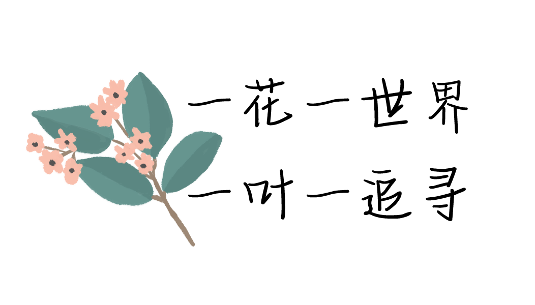 18.png