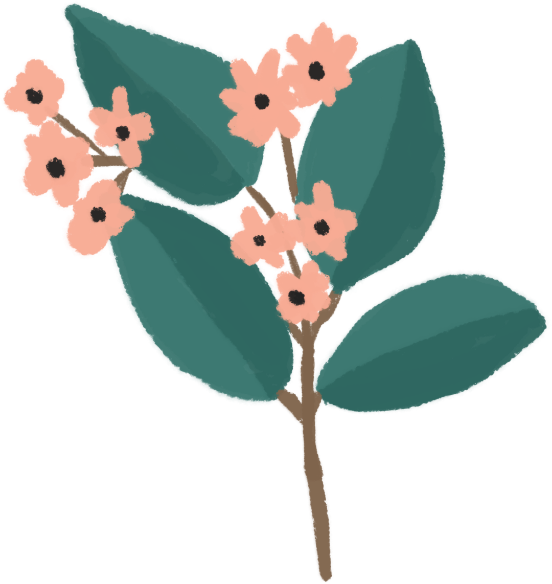 23.png