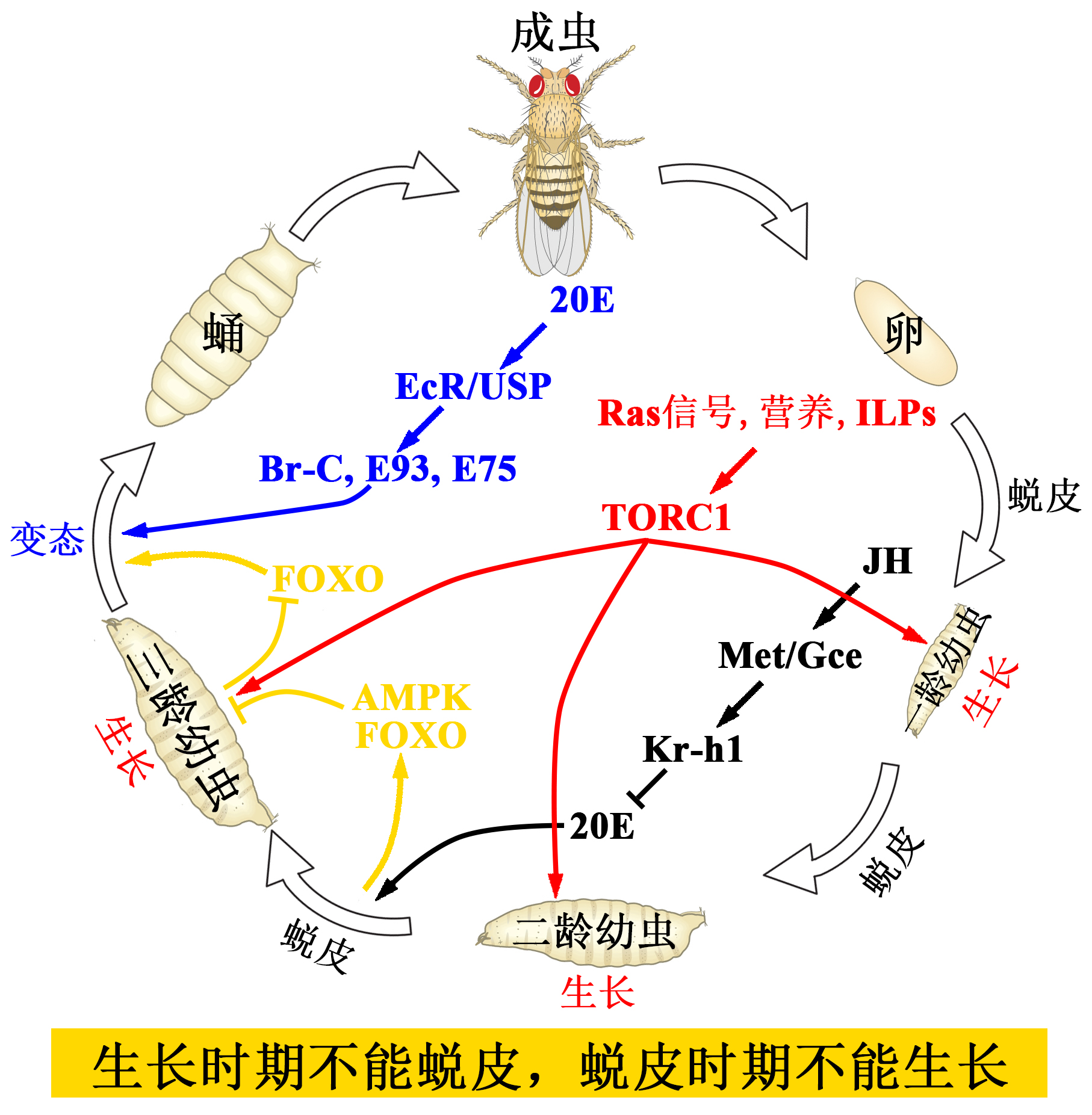 li-sheng-s-research-team-won-first-prize-of-guangdong-natural-science