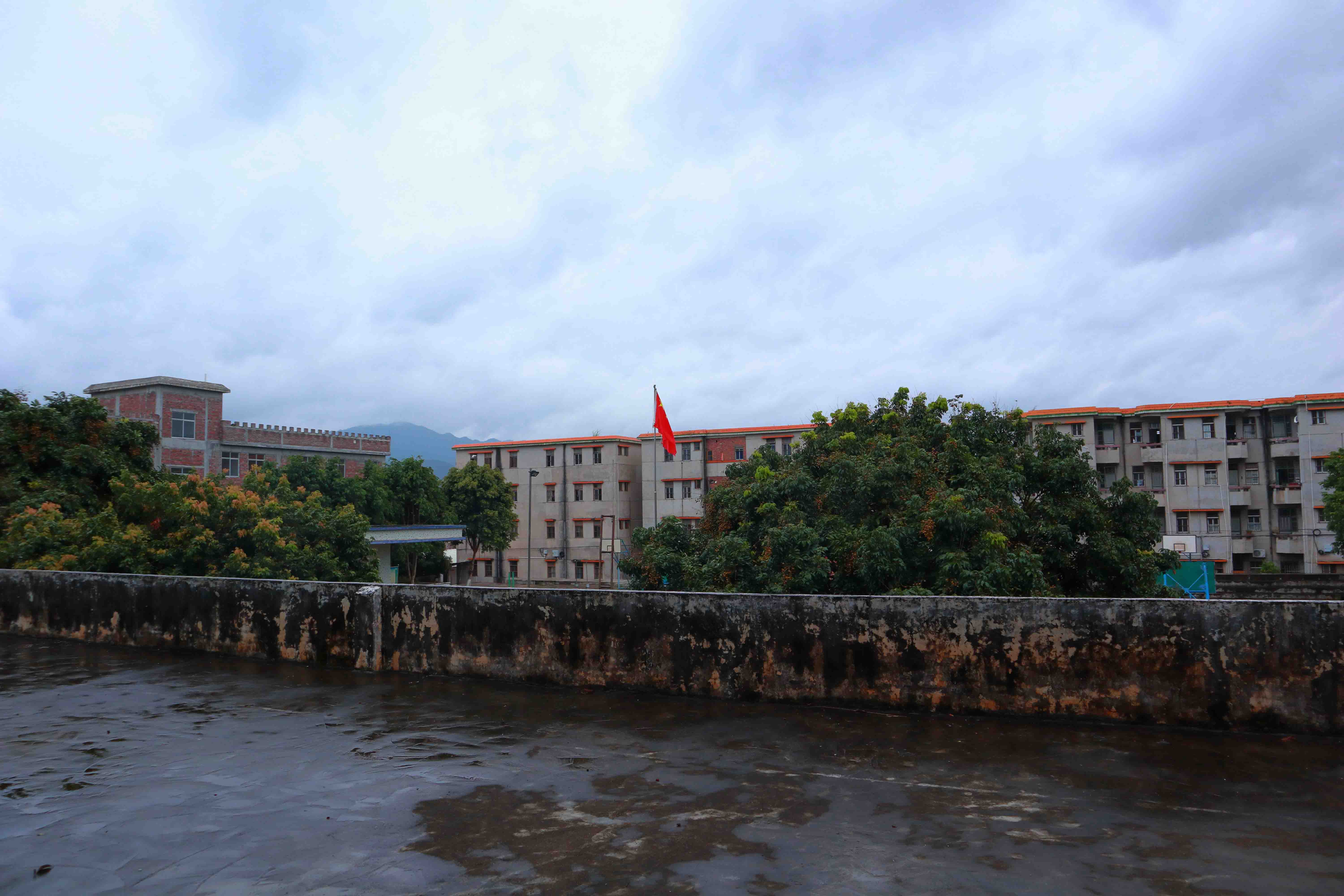 学校的风景.jpg