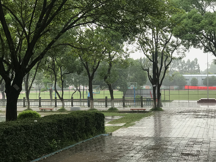 图2.下午突然下起大雨.png