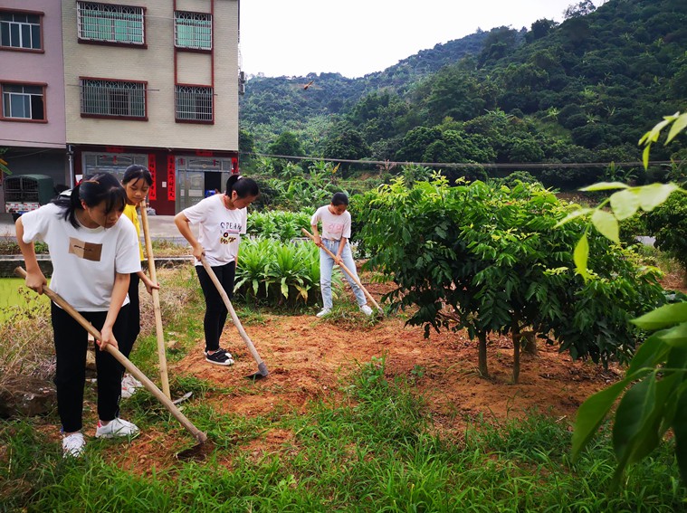 图2 学生在田地上除草松土.jpg