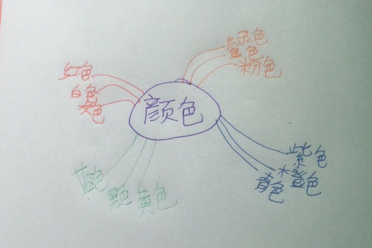 图5：学生思维导图作品展示.jpg