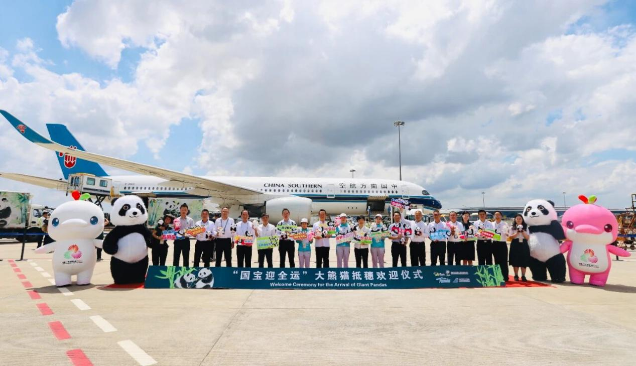 我校学生志愿者参与“国宝”大熊猫接机仪式