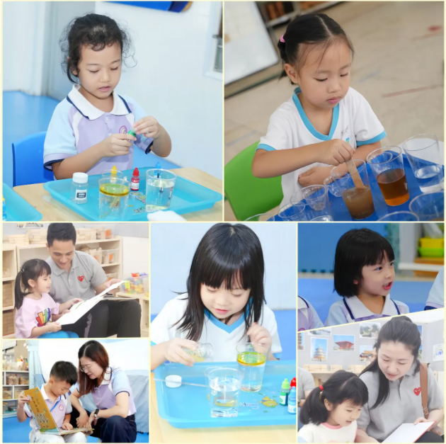 1766461003175231.png QQ_1766460720732.png