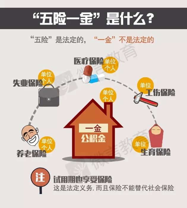 三张图带看懂"五险一金"那些事儿 - 就业指导 - 华南师范大学法学院