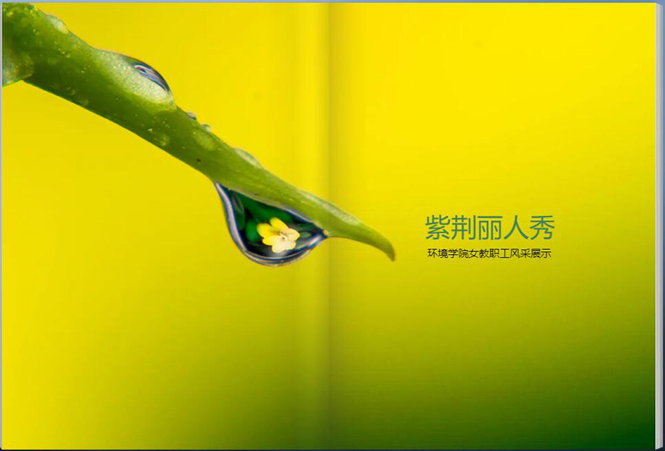 3紫荆丽人秀-1.jpg
