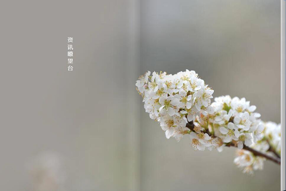 1资讯-1.jpg