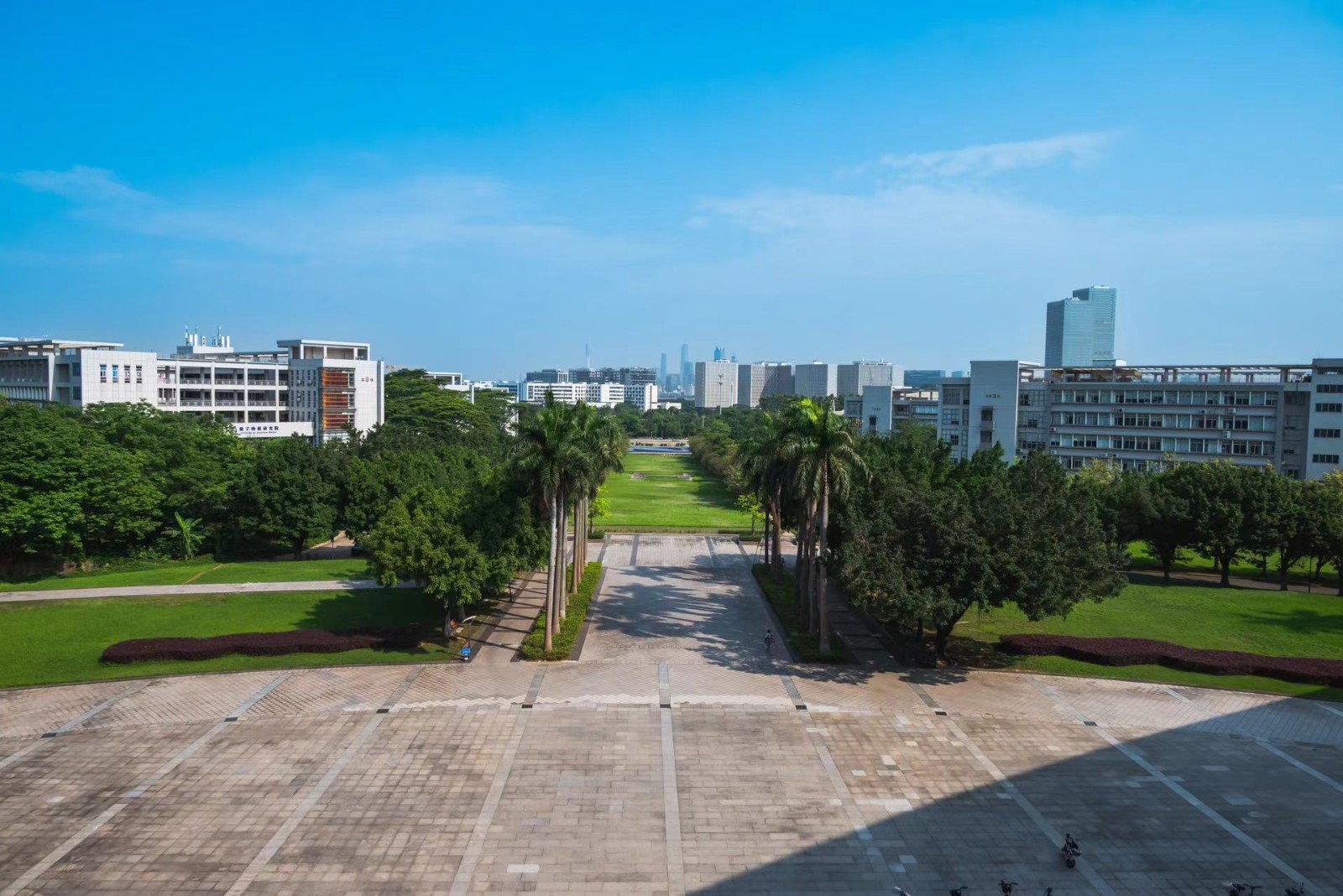 后勤党委理论学习中心组专题学习习近平总书记在二十届中共中央政治局第十九次集体学习发表的重要讲话
