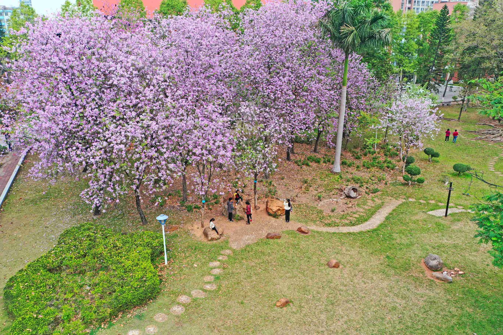 后勤党委理论学习中心组专题学习习近平总书记在中央政治局第二十三次集体学习时的重要讲话