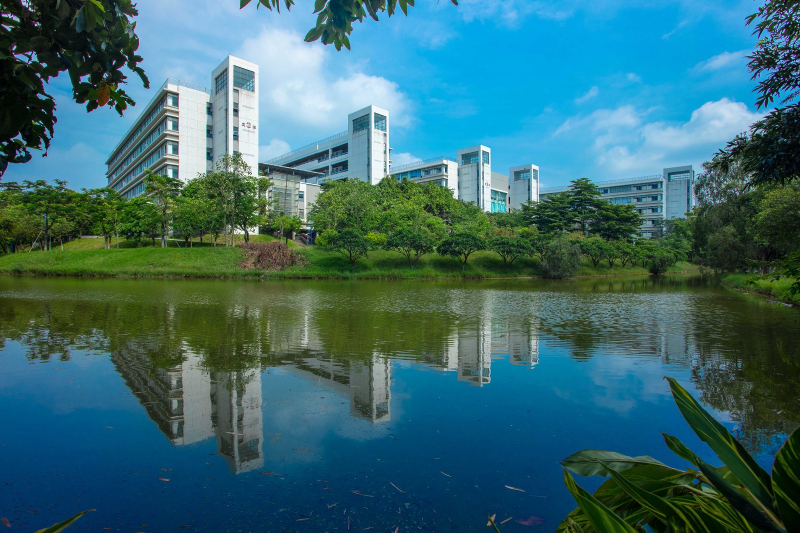 后勤党委理论学习中心组专题学习习近平总书记在广东考察时的重要讲话