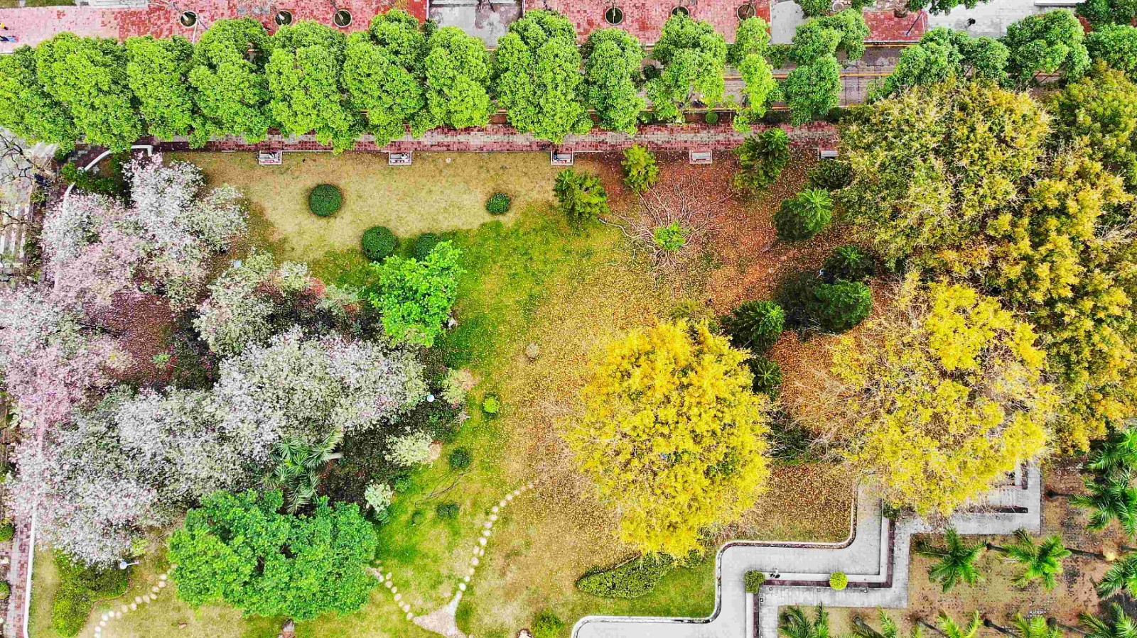 后勤党委理论学习中心组专题学习习近平总书记给天津大学全体师生的回信