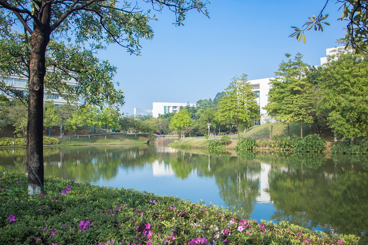 后勤党委理论学习中心组专题学习习近平总书记在云南考察时的重要讲话