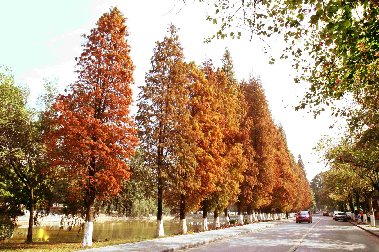 后勤党委理论学习中心组召开专题学习会议