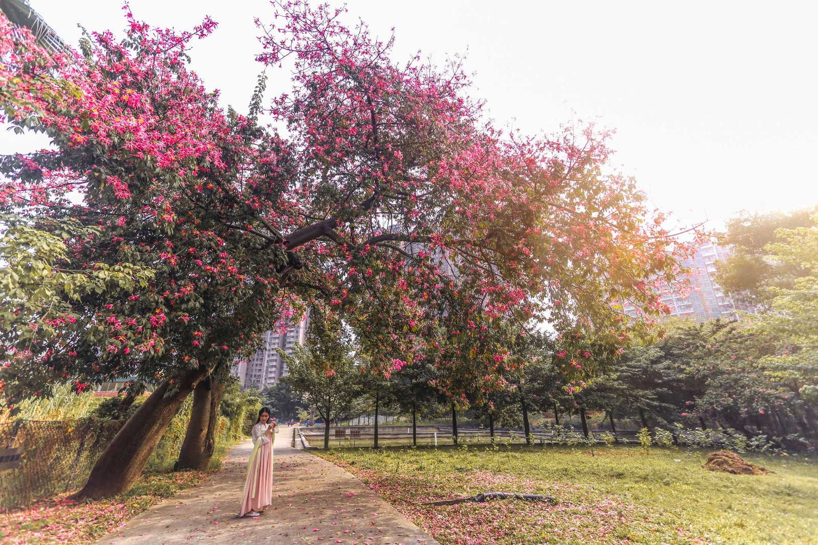 后勤党委召开理论学习中心组学习会议