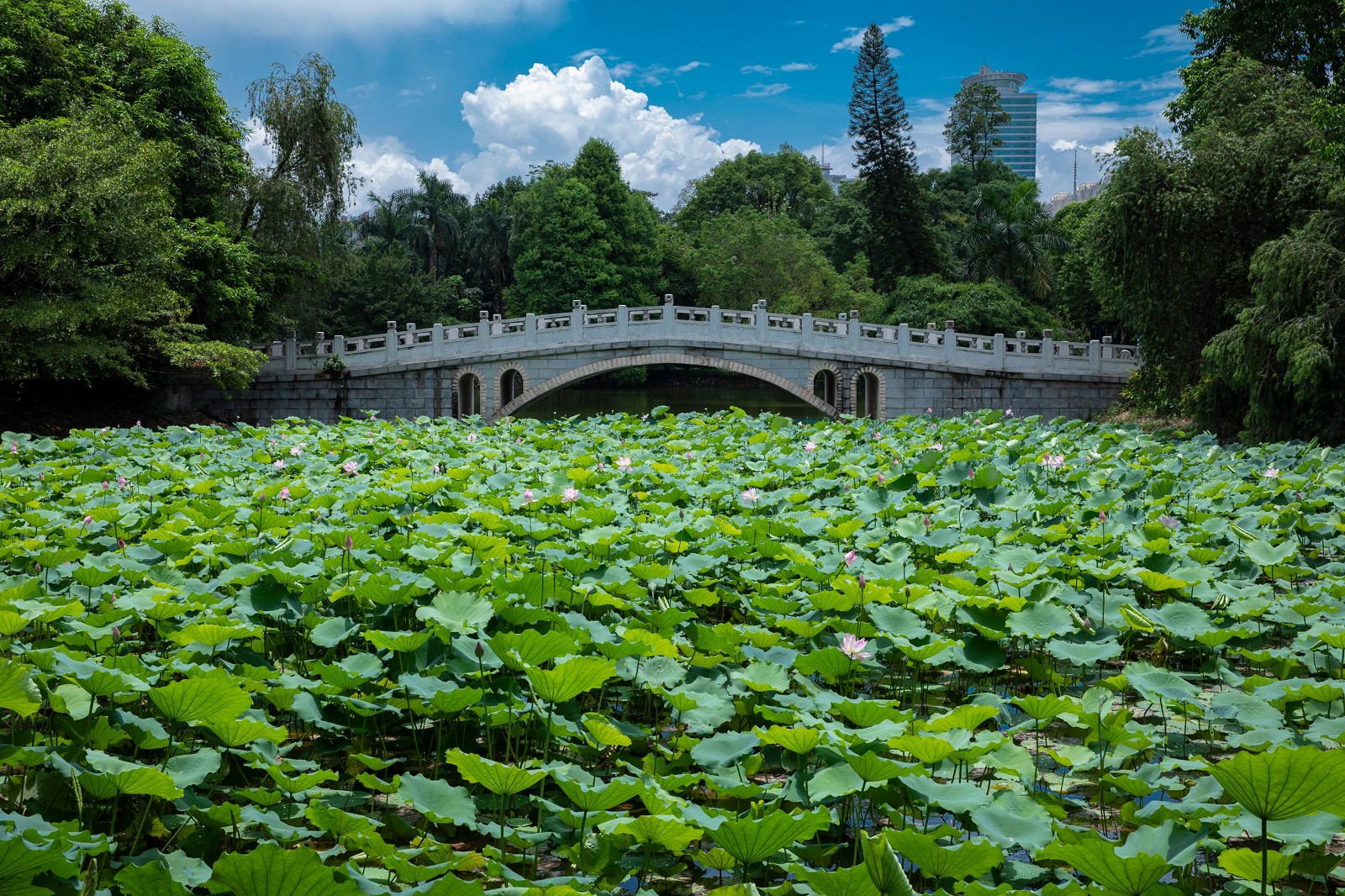后勤党委理论学习中心组专题学习习近平总书记对辽宁辽阳市白塔区一饭店火灾事故作出的重要指示