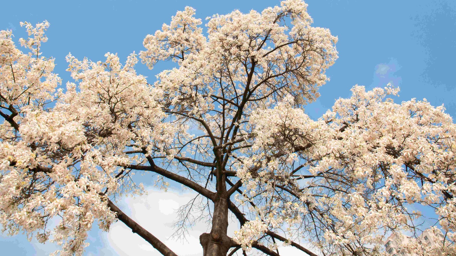 后勤党委理论学习中心组专题学习习近平总书记在看望参加政协会议的民盟民进教育界委员时的重要讲话