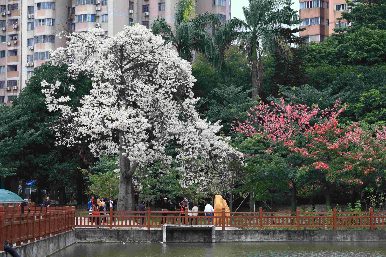后勤党委理论学习中心组专题学习习近平总书记在二十届中央纪委四次全会上发表的重要讲话