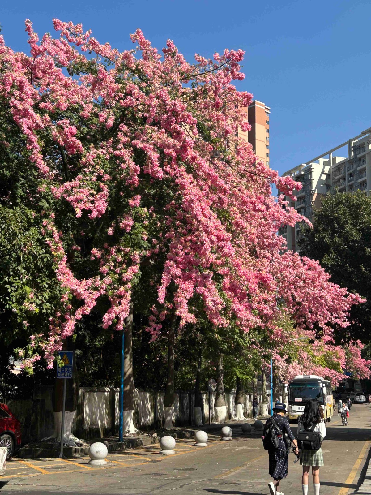 榜样引领前行路，党员砥砺铸初心