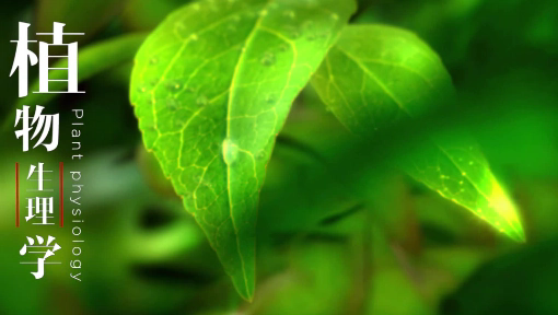 植物生理学