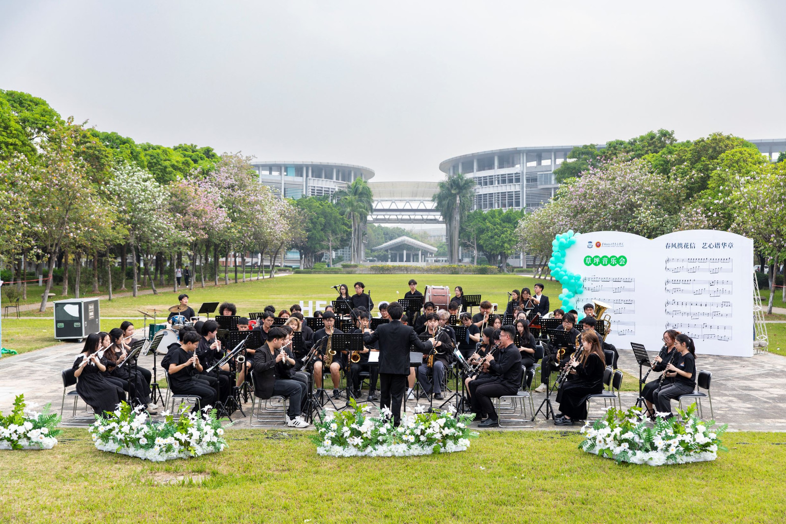 音乐学