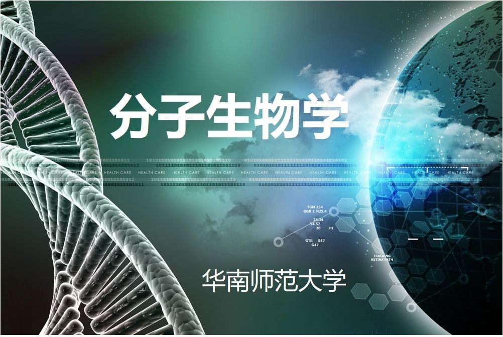 分子生物学