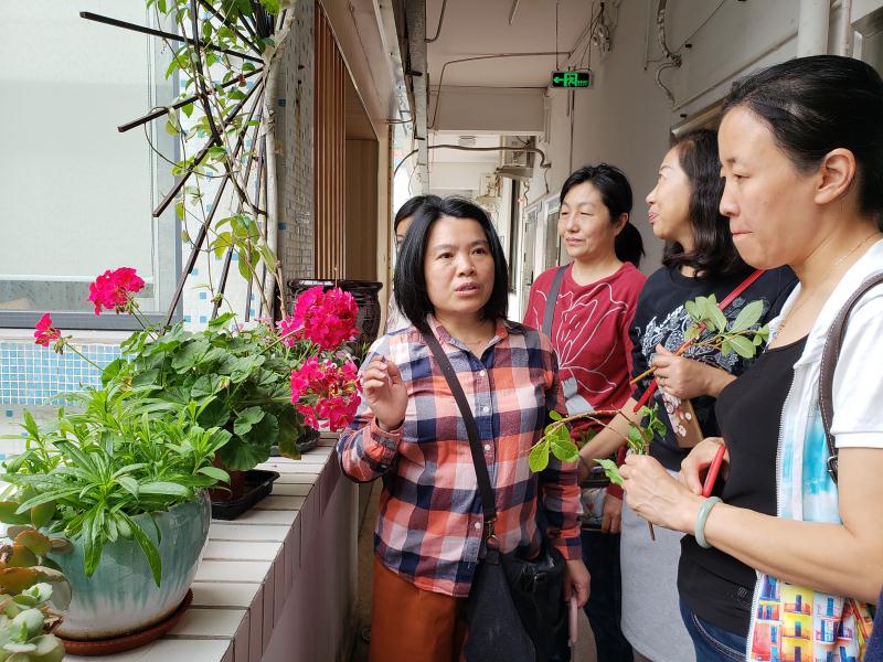 图二饶老师带会员们参观文科楼走廊花园讲解花卉养护知识.jpg
