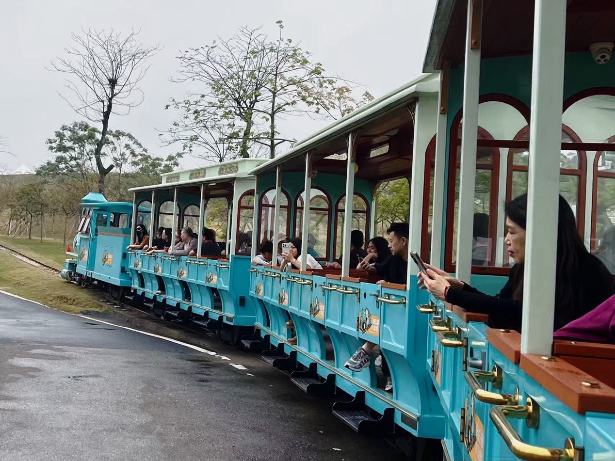 蓝色的火车 描述已自动生成