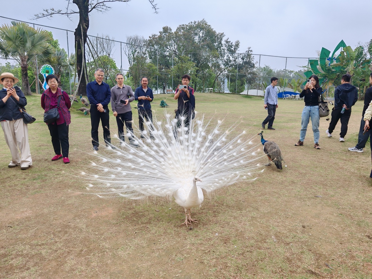 一群人站在草地上 描述已自动生成