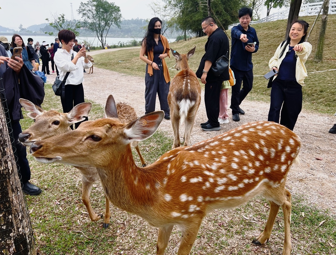 一群人站在草地上的长颈鹿 中度可信度描述已自动生成