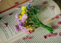 活动报名｜第十届阅读马拉松书单介绍