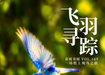 喜阅书展（No.169）｜飞羽寻踪
