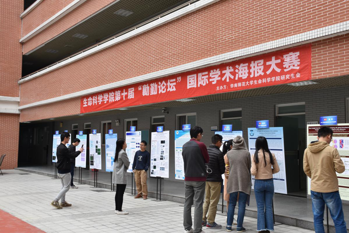 图片3 学术海报交流会现场气氛热烈.png