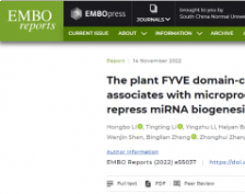 EMBO Reports | 我院高彩吉课题组与张钟徽课题组合作发现囊泡运输因子FREE1调控miRNA形成的全新功能