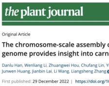 生命科学学院阳成伟团队及其合作者发布迷迭香高质量基因组并解析鼠尾草酸合成和进化机制