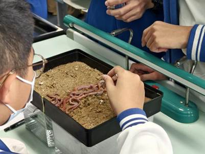 741cbe8c6b42ee39ce73f7b55d092ce4