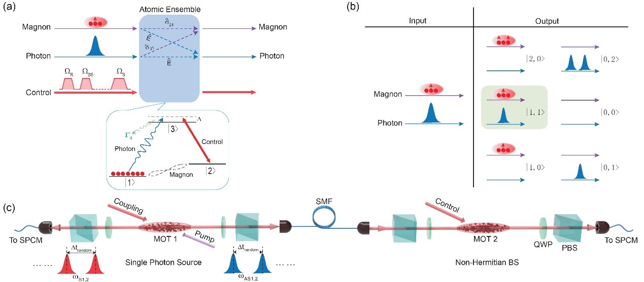 图2.单光子与单磁子干涉的实验原理图.jpg