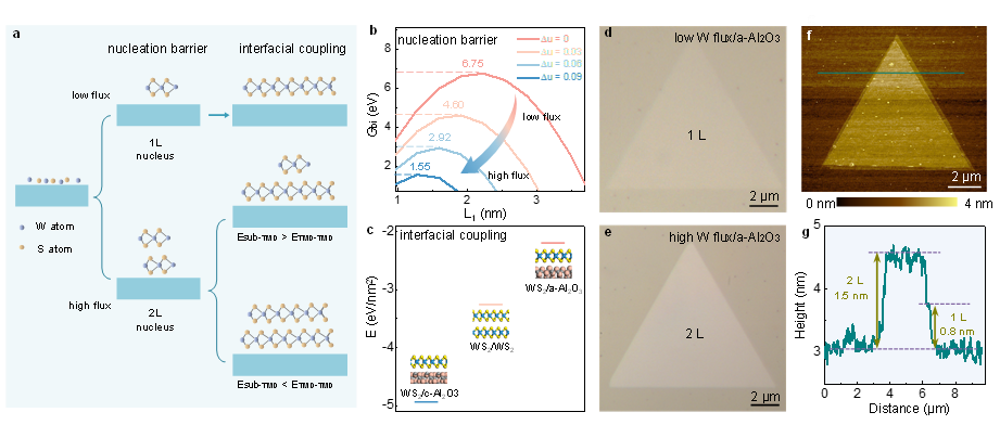 图一：双层WS2生长机制及实验结果.png