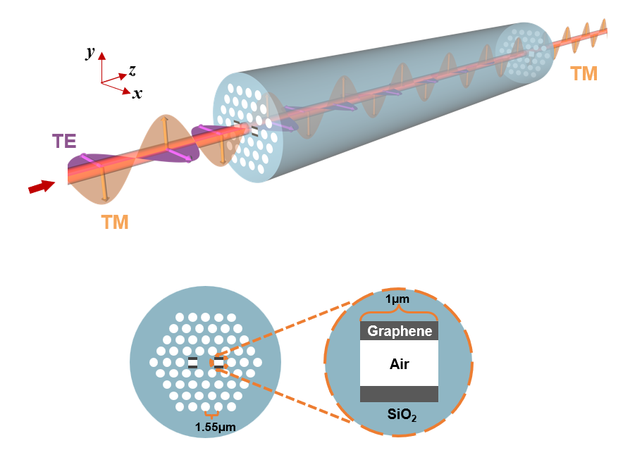 图一 石墨烯光子晶体光纤偏振器示意图.png