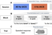 心理学院王瑞明教授团队在心理学国际顶级刊物Neurobiology of Language发表重要研究成果
