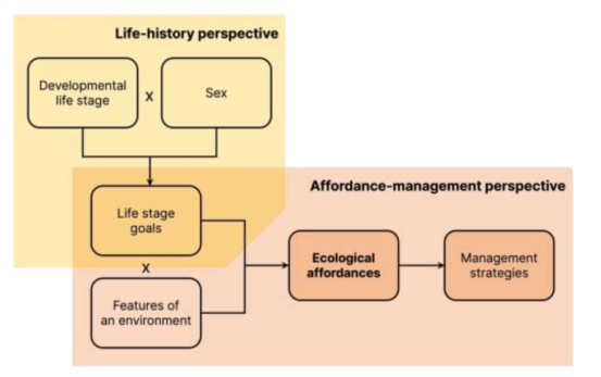 心理学院李红教授研究团队受邀在《Behavioral and Brain Sciences》(BBS)发表重要评论：                                                                                               探讨数字环境的儿童生态可供性如何影响儿童发展