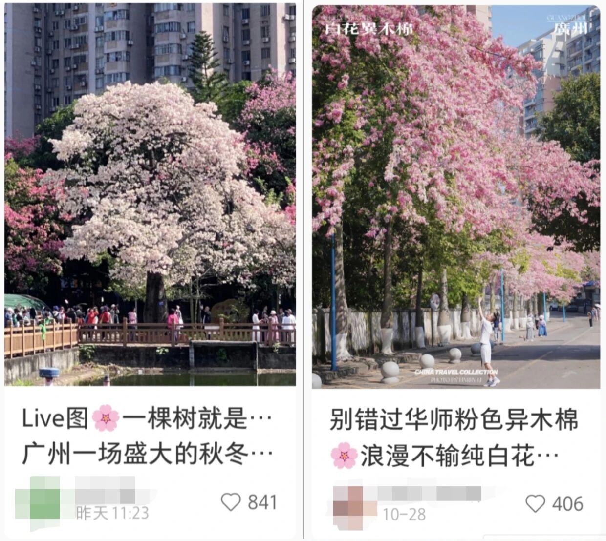 1792633703358308.jpg 微信图片_2026-10-12_151807_330.jpg