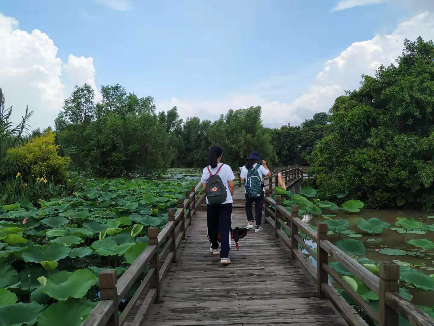 旅游管理学院七月长风调研组工作继续推进